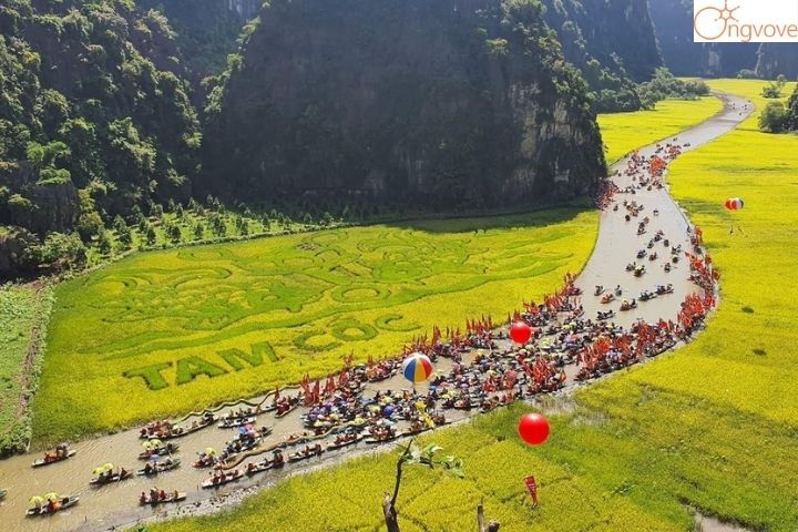 Vị trí địa lý