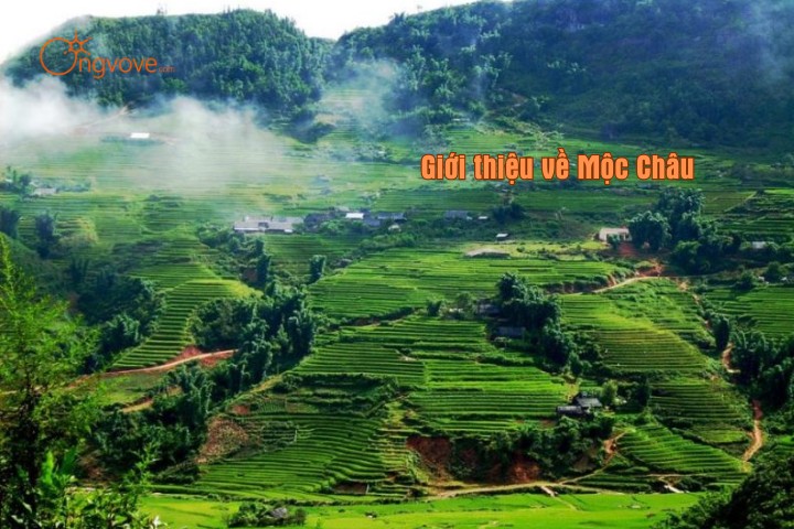 Giới thiệu về Mộc Châu