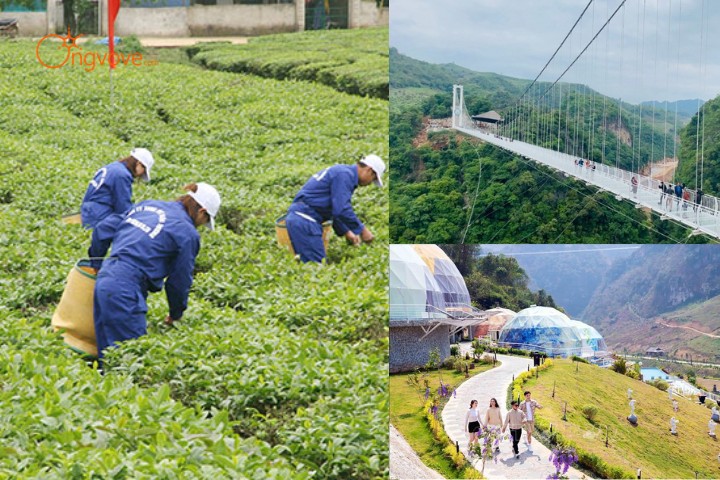 Kinh tế - xã hội của Mộc Châu