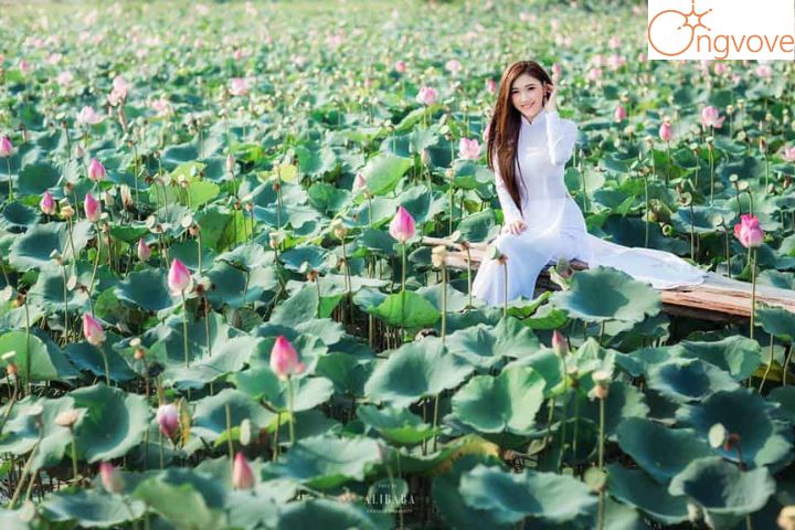Thời điểm du lịch Đồng Tháp