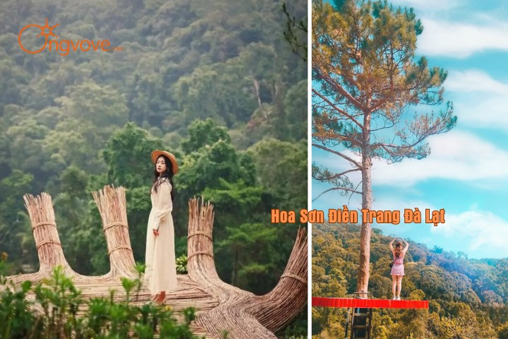 Giới thiệu Hoa Sơn Điền Trang Đà Lạt