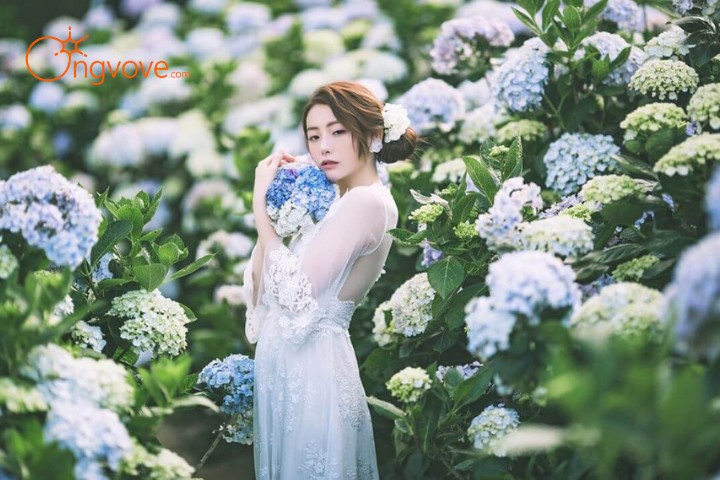 Làng hoa Vạn Thành Đà Lạt có gì thu hút