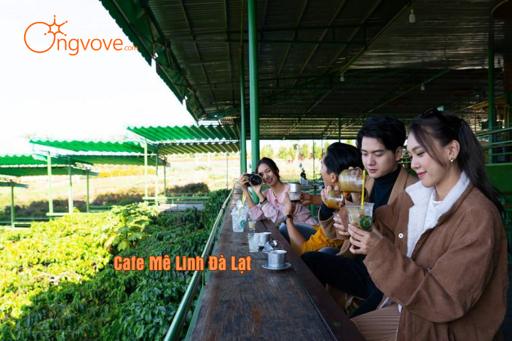 Đôi nét siêu hấp dẫn của Cafe Mê Linh Đà Lạt