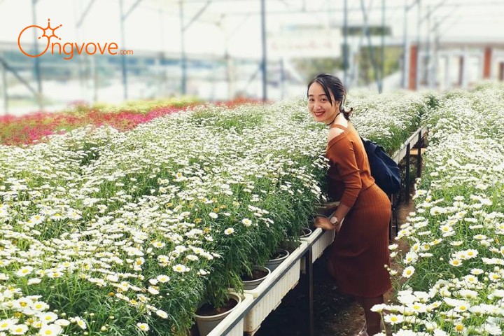 Giới thiệu Làng hoa Vạn Thành Đà Lạt