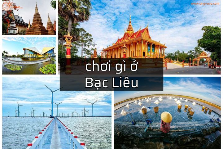 Bạc Liêu Có Gì Chơi
