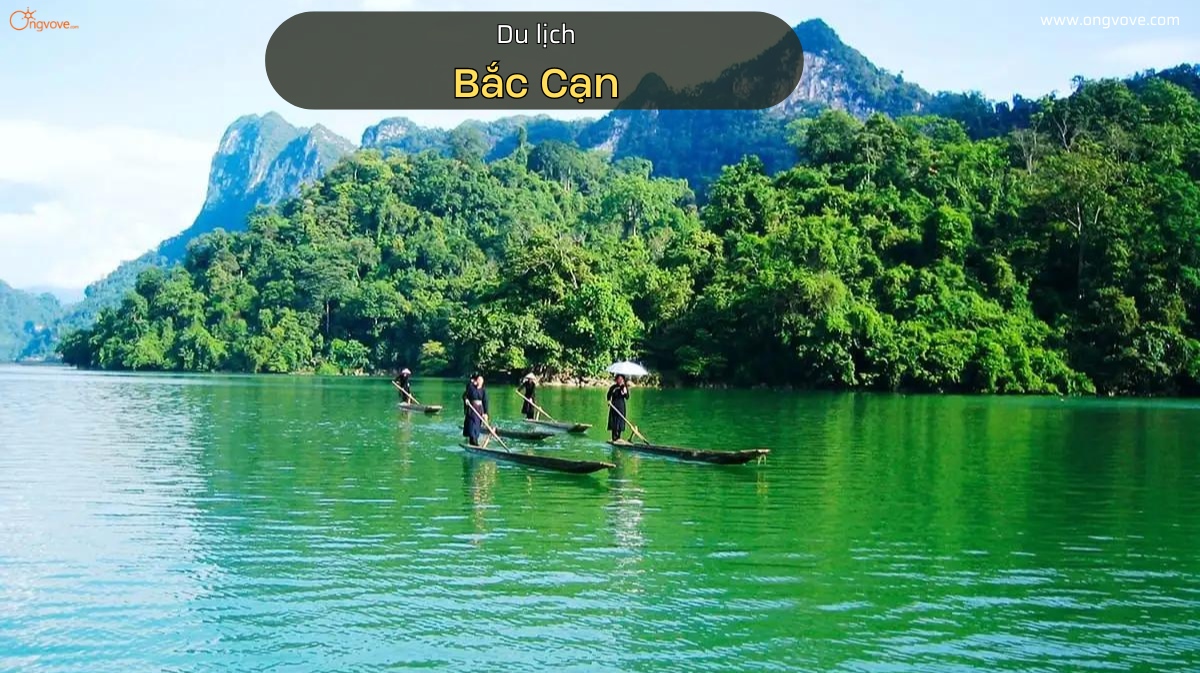 Du lịch Bắc Kạn: Cẩm nang du lịch và những địa điểm không thể bỏ qua