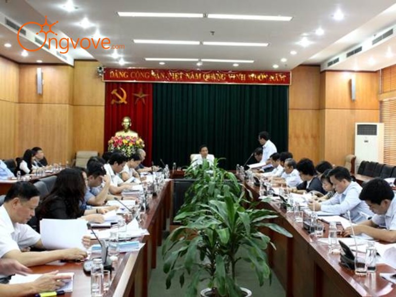 Các Đơn Vị Hành Chính Gia Lai