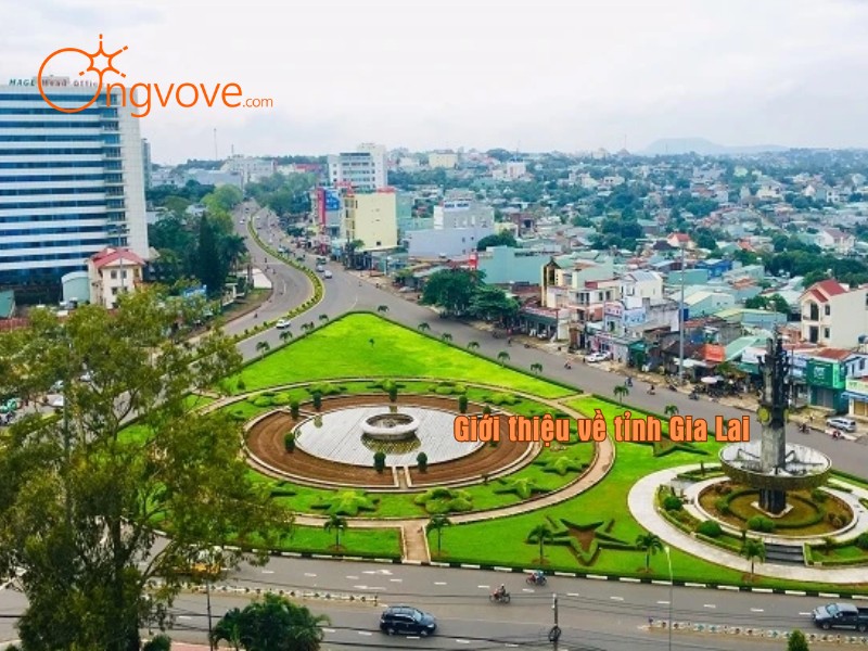 Giới thiệu về tỉnh Gia Lai