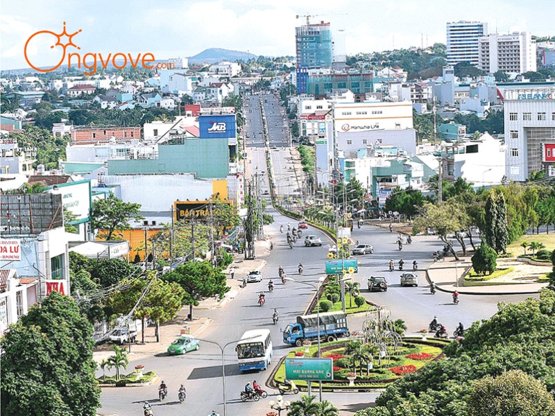 Kinh tế - xã hội của Gia Lai
