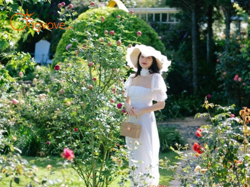 Các Đơn Vị Hành Chính QUÊ Garden