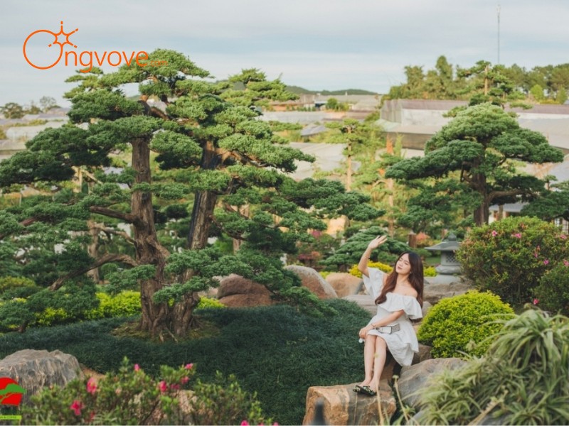 Những nơi lưu trú tốt nhất khi đến QUÊ Garden - Vạn Thành