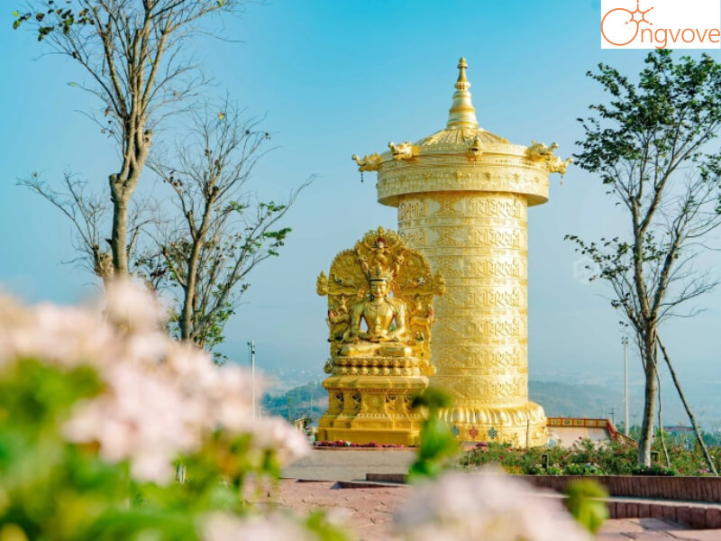 Những điểm dừng chân chất lượng khi tham qua Samten Hills Dalat
