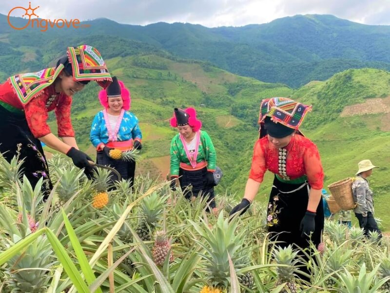 le-hoi-dua-bao-son-kham-pha-van-hoa-va-tin-nguong-dia-phuong-ong-vo-ve-travel