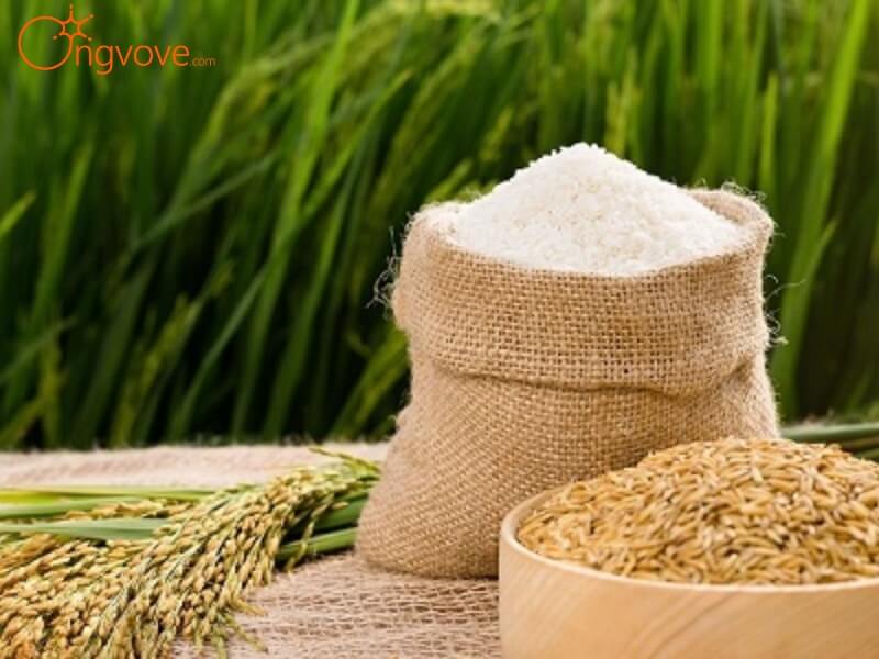 Những yếu tố ảnh hưởng đến chất lượng rượu Vân Hà