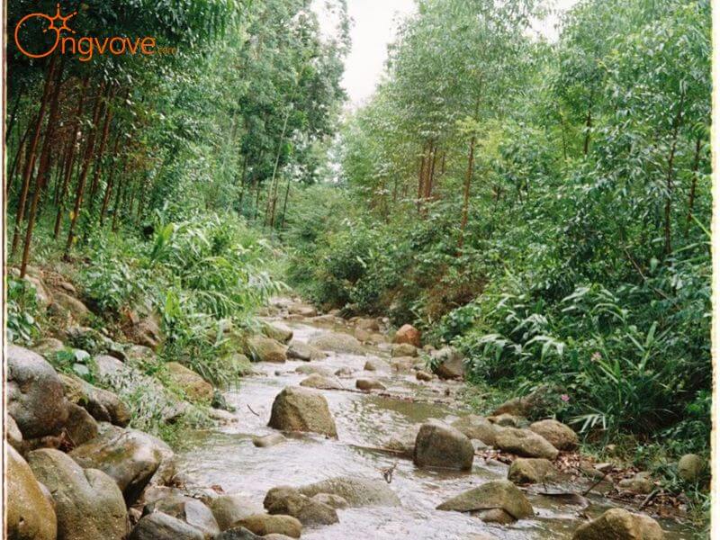 Động vật và thực vật xung quanh thác nước Hang Chiêng