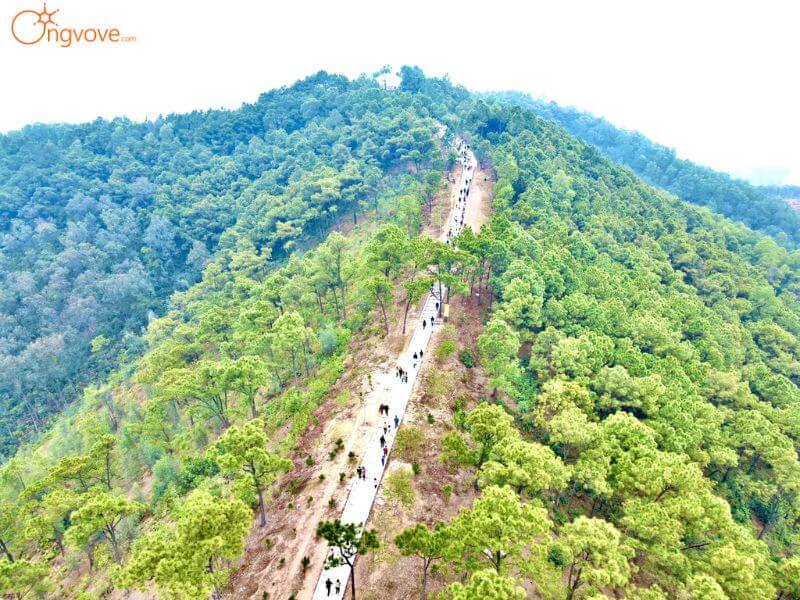 Kinh nghiệm leo núi và trekking tại Núi Dành