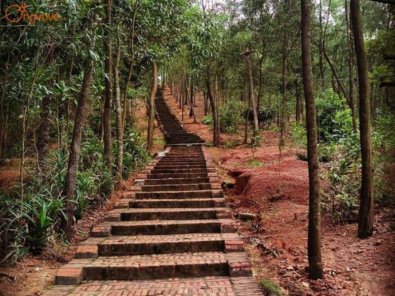 Sử dụng Các Dịch Vụ Du Lịch "Núi Dành" Tại Nền Tảng Ong Vò Vẽ Travel