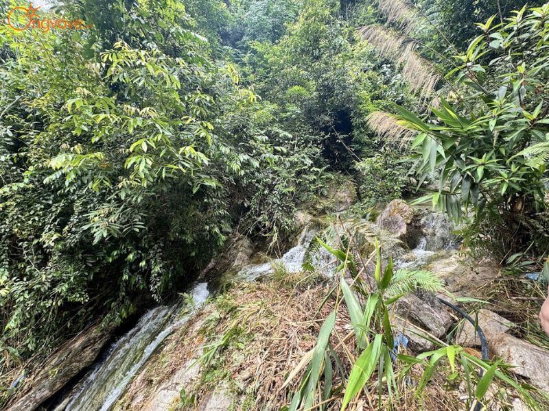 Các dịch vụ du lịch tại "Thác Phướn" thông qua nền tảng Ong Vò Vẽ Travel