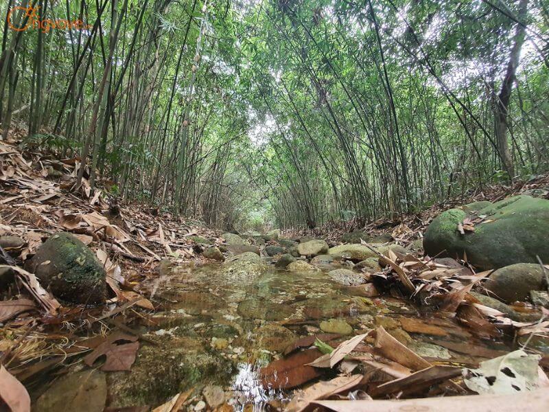 Giao thông và cách di chuyển đến Thác Phướn