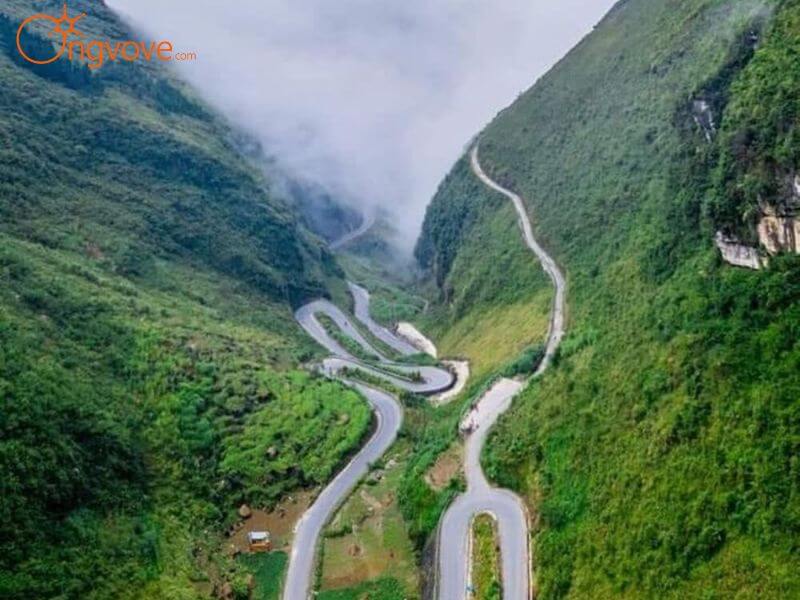 Các dịch vụ du lịch của Ong Vò Vẽ Travel