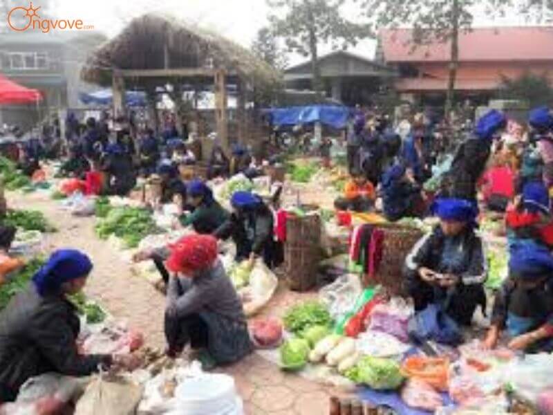 Các Điểm Đến Nổi Bật 