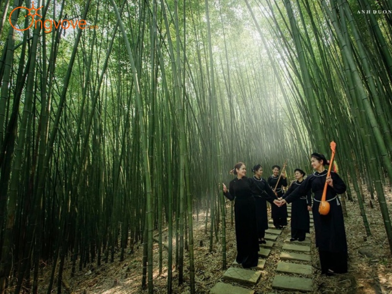 Dịch vụ du lịch "Rừng Trúc Nguyên Bình" tại Ong Vò Vẽ Travel