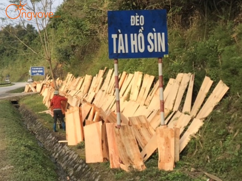 Khám Phá Du Lịch Tại Đèo Tài Hồ Sìn