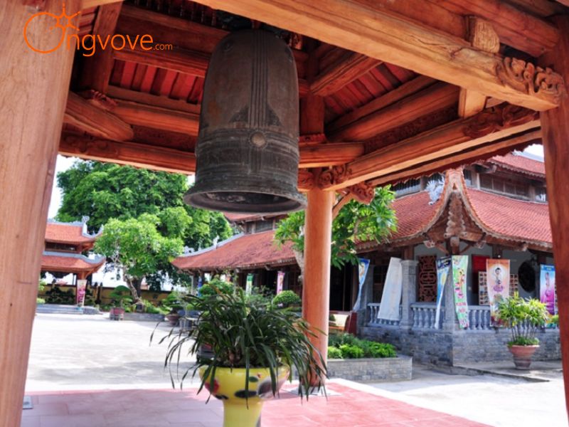 Những Cây Cổ Thụ Di Sản: Chứng Tích Sống Của Lịch Sử
