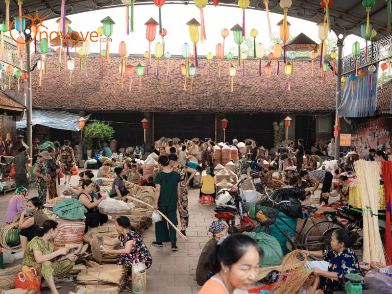 Ong Vò Vẽ Travel - Đơn Vị Chuyên Cung Cấp Thông Tin Tour, Địa Điểm Du Lịch Tại Chợ phiên Đạp Thanh Quảng Ninh