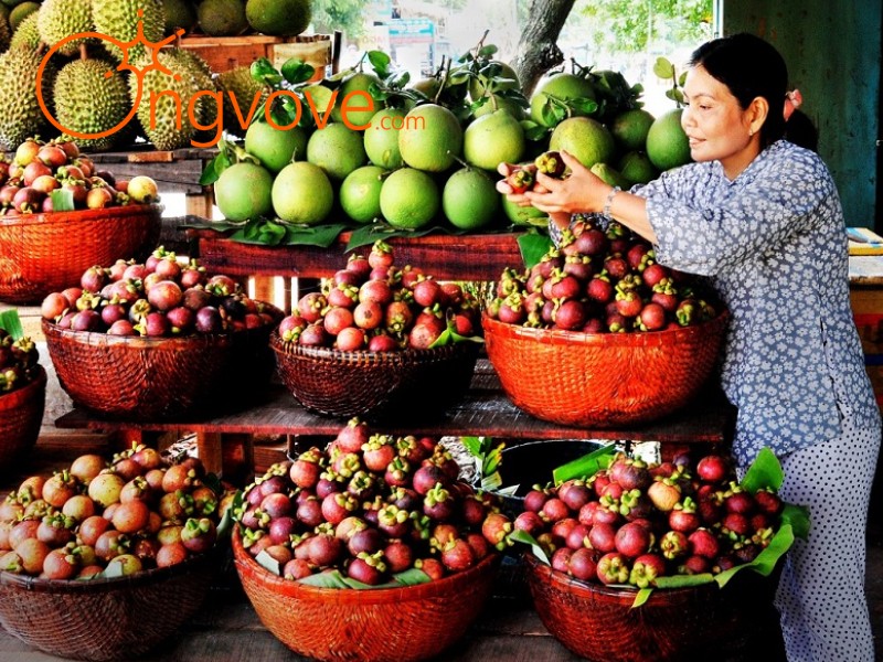 Trải Nghiệm "Ăn Bao Bụng" và Các Gói Vé Siêu Hấp Dẫn
