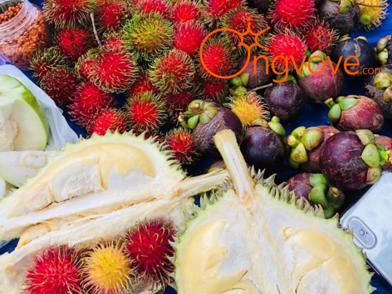 Vườn Trái Cây Dì 2 Long Khánh: Hơn Cả Một Chuyến Đi