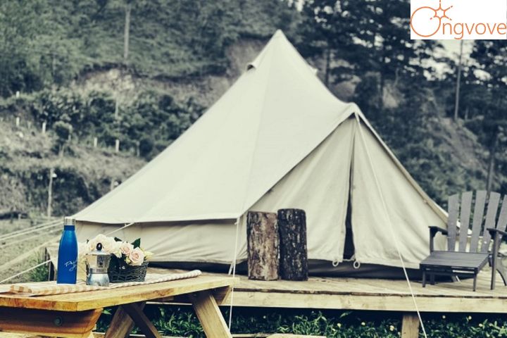 11+ Địa điểm cắm trại Đà Lạt cực chill