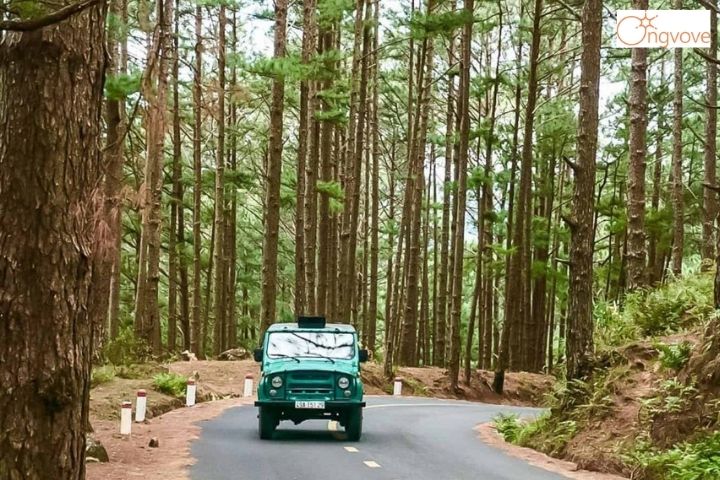 Đi xe Jeep lên đỉnh Langbiang