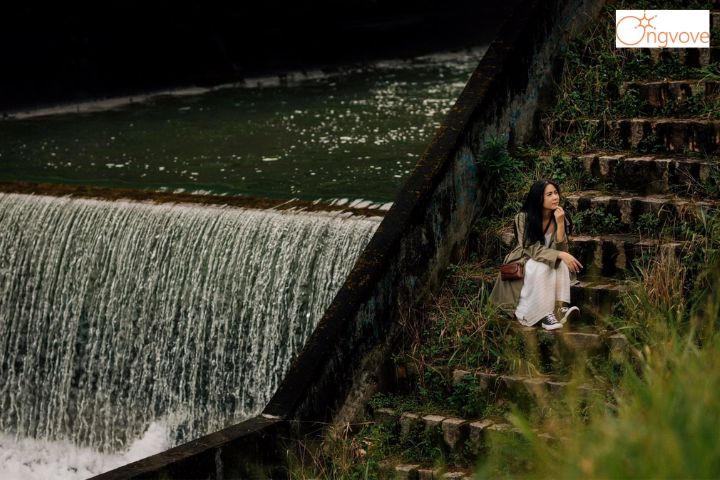 Hồ Tuyền Lâm