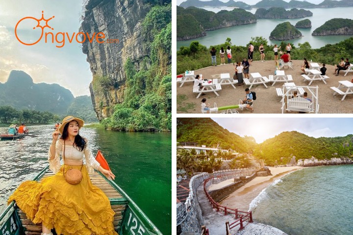Thuê hướng dẫn viên du lịch Hải Phòng