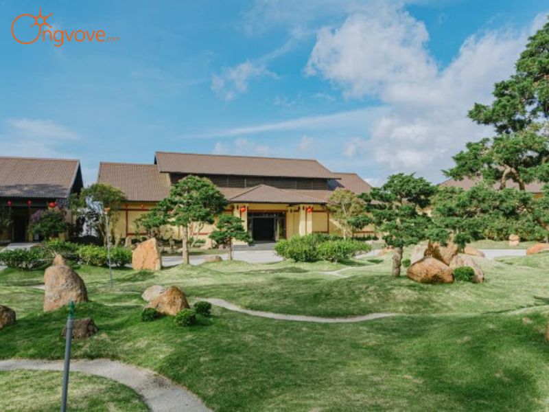 Giới Thiệu Bảo Tàng Trà Long Đỉnh – Viên Ngọc Xanh Của Văn Hóa Trà