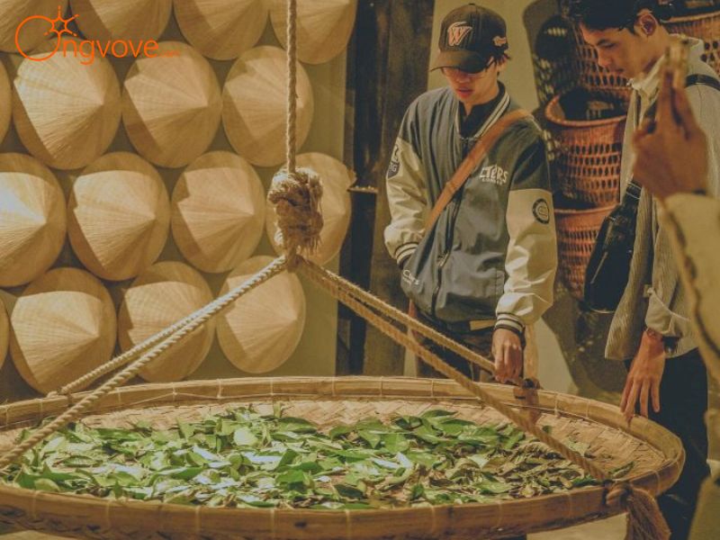 Làm Thế Nào Để Đến Bảo Tàng Trà Long Đỉnh