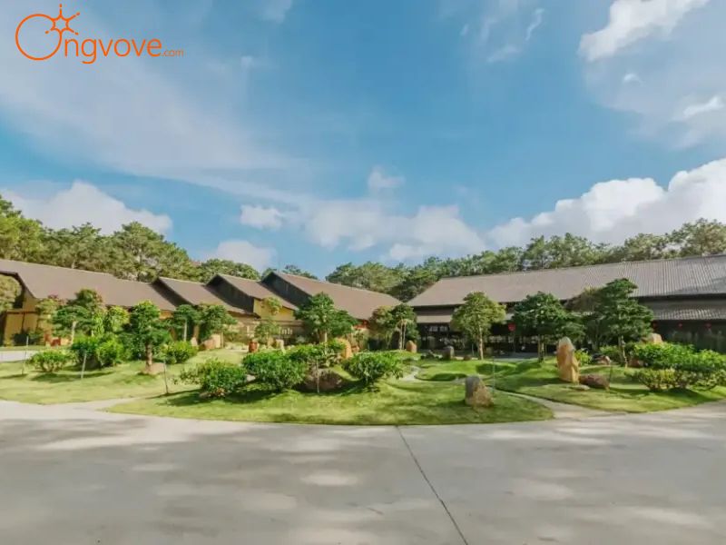 Thời Tiết Lý Tưởng Để Thưởng Trà Tại Bảo Tàng Trà Long Đỉnh