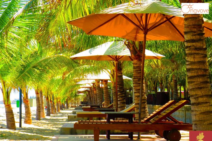 Con Gà Vàng Resort