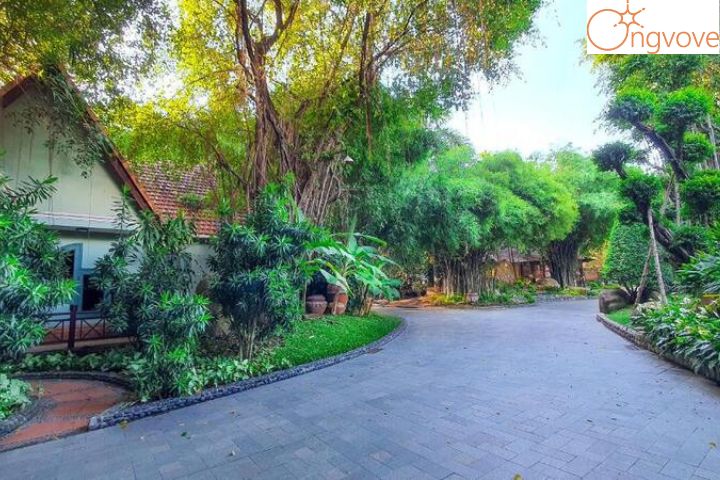 Phương Nam Resort Bình Dương - Khám phá vẻ đẹp quê hương
