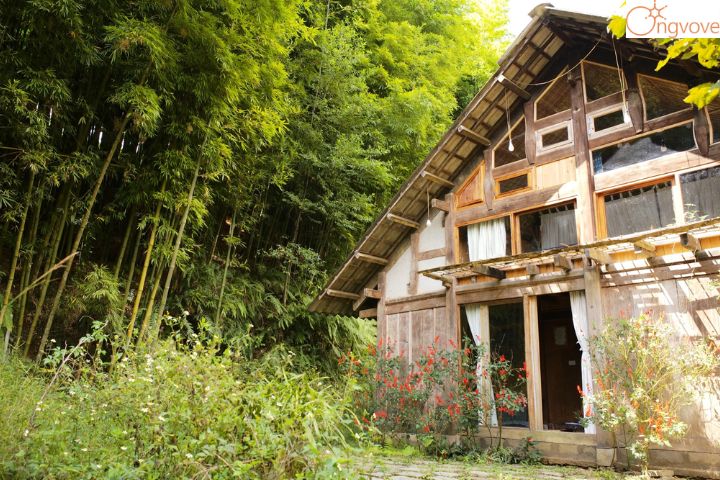 Phơri's House