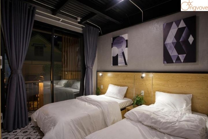 The Nest Quảng Bình