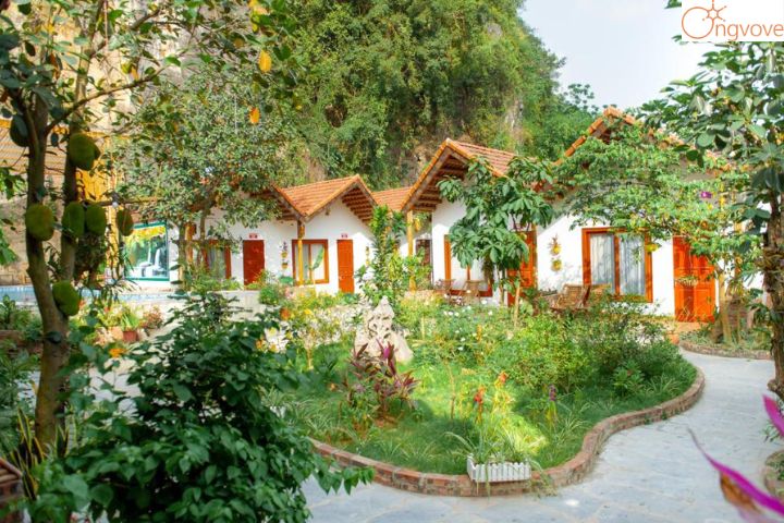 Tam Cốc Serene Bungalow
