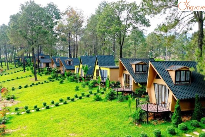 Đà Bắc Homestay – Homestay Hòa Bình view đẹp
