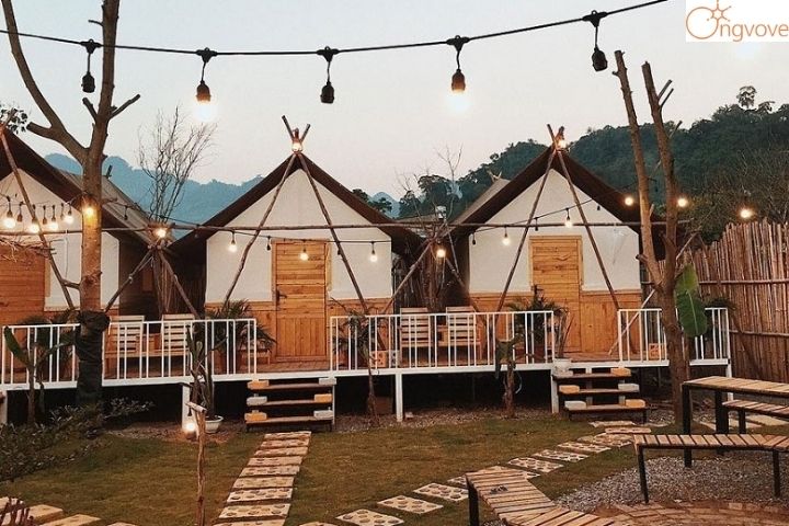 The november homestay