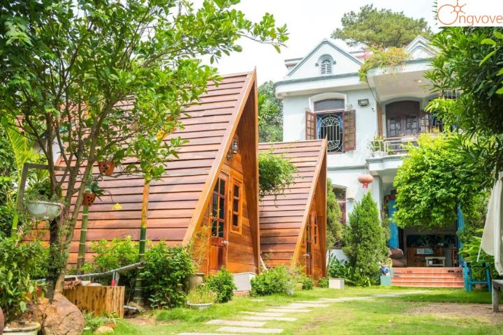 Hạ Long Ginger – Homestay ở trung tâm Hạ Long