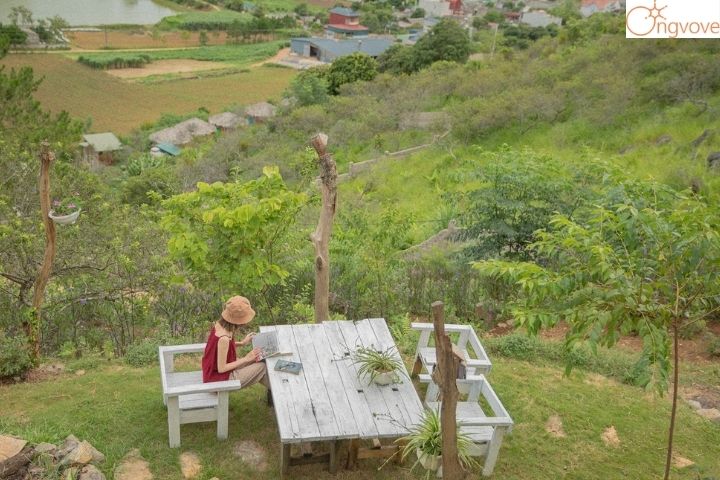 Top Hill homestay