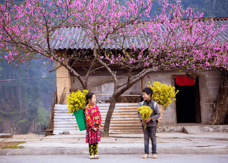 Kinh Nghiệm Du lịch Hà Giang Chi Tiết Nhất