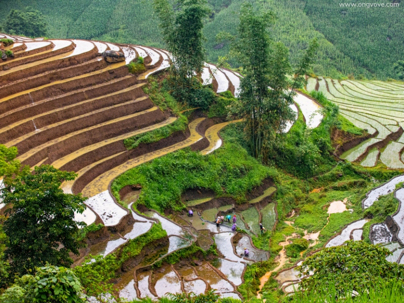 Các điểm vui chơi mới ở Lào Cai