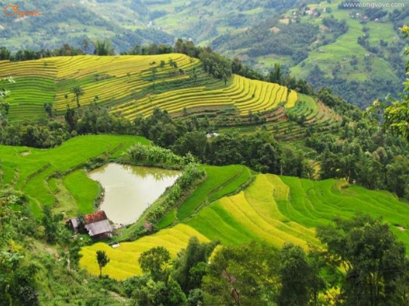 Giới Thiệu Địa Điểm Xín Mần